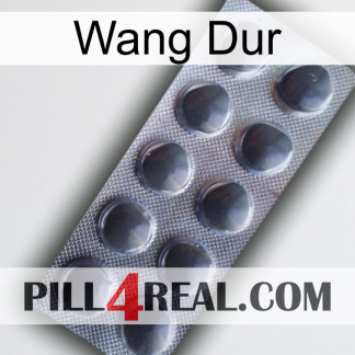 Hard Wang 30